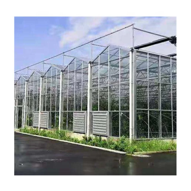Agricultural Venlo Type Glass Greenhouse
