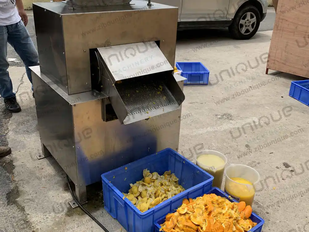 Industrial 304 stainless steel fresh fruit citrus lemon orange juice machine