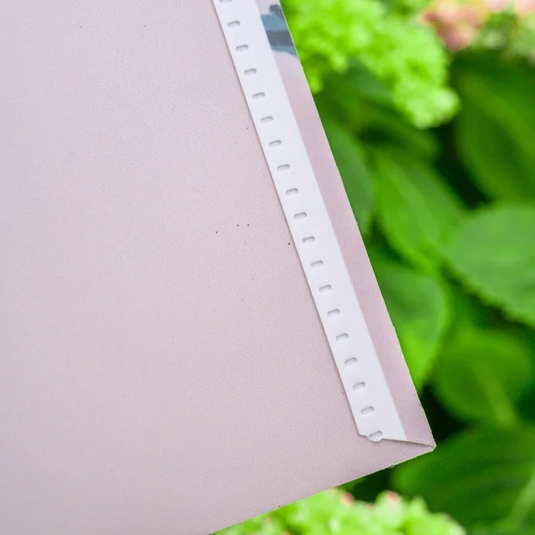 A4 custom PP plastic file bags document wallet file envelope folder with snap button for document stationery tools organization