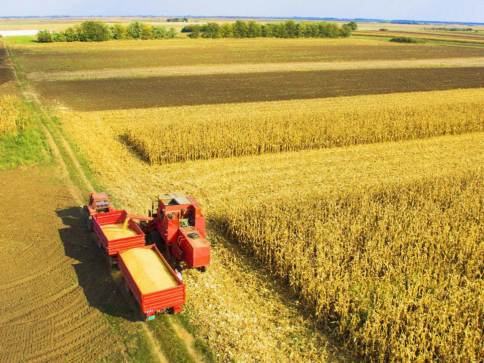 Chinese Brand 80HP Engine Power GV80 Wheel Combine Harvester for Sale