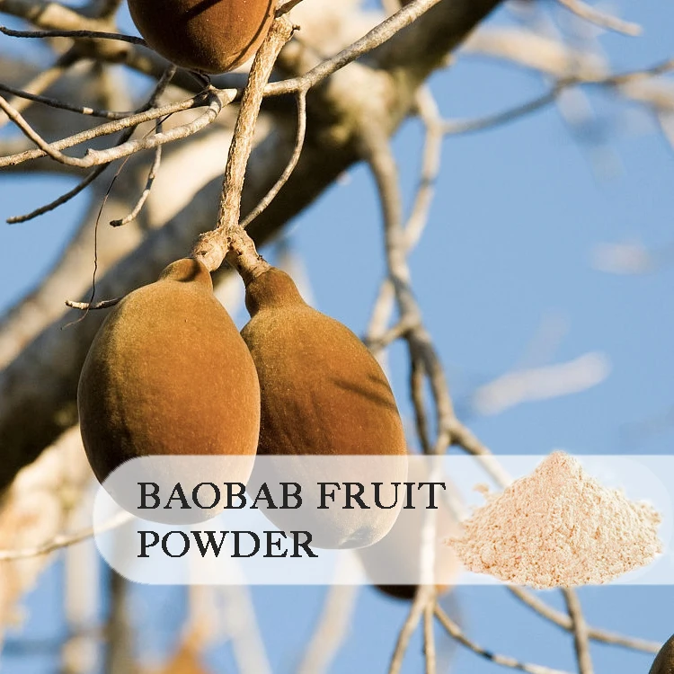 100% factory manufacturers supply best quality extract organic pulp baobab fruit powder