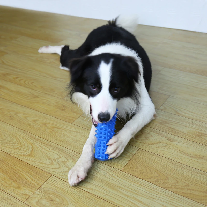 Blue 285C vampire teething High quality  hot selling rubber top seller pets interactive and chew toys Sound making toys