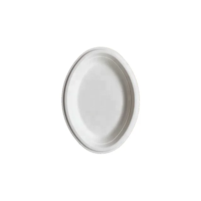 Factory Oval Disposable Sugarcane Bagasse Food Tray Biodegradable Paper Plates