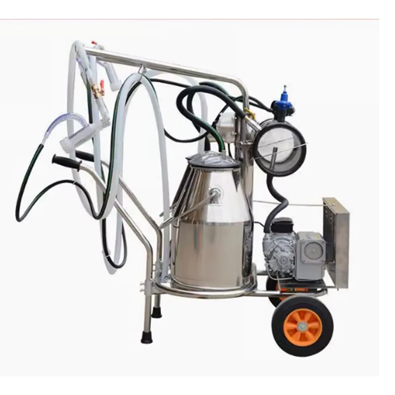 Buffalo gasoline engine drive cow milking machine in India Gujarat