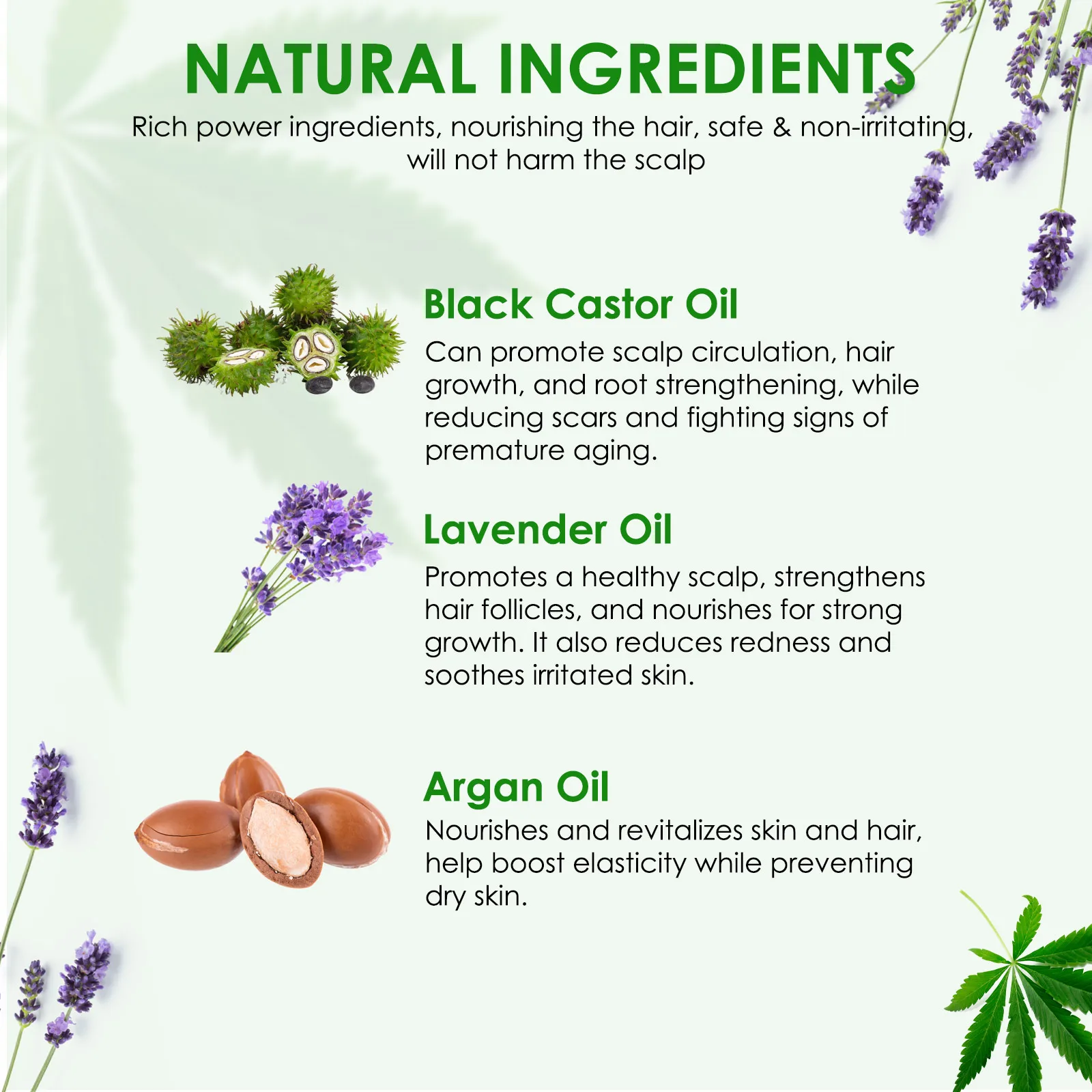 Wholesale Price Premium Hair Repair Black Castor Argan Oil Pure Natural Organic Lavender Essential Oil for Body Massage