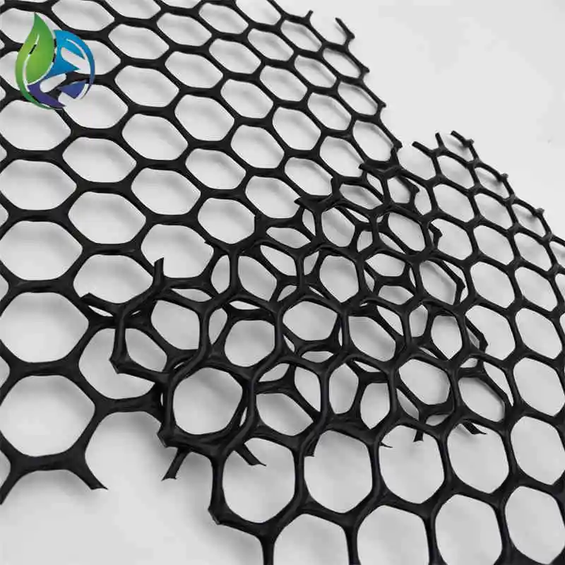 Plastic Geonet Hard Plastic Flat Mesh Net Plain Mesh Netting HDPE for Poultry Farming