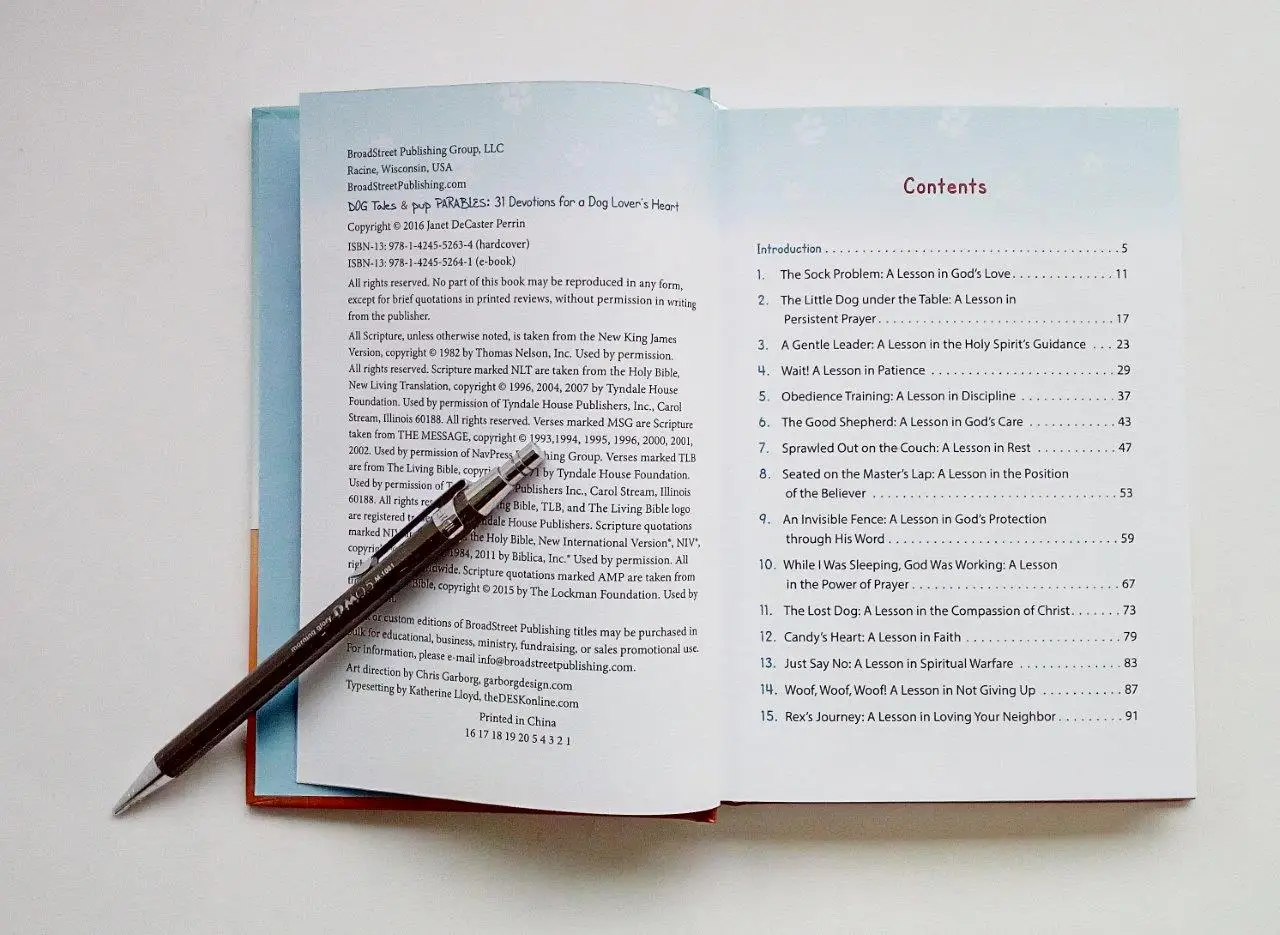 Custom Offset Printing Recycled Children School Educational Photo Book Coloring Story Book