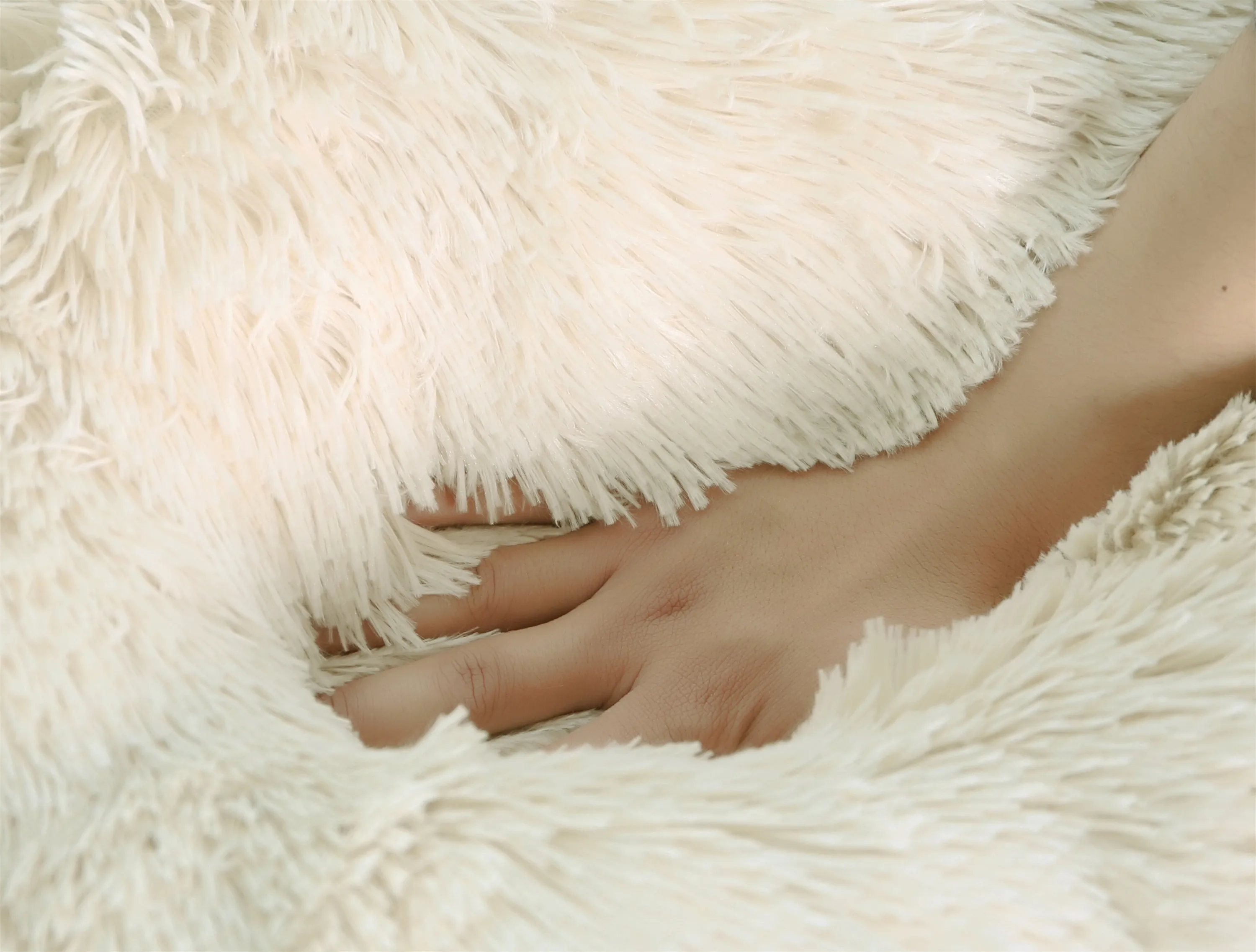 Amazon Popular Luxury Cat Dog Bed Cave Eco Friendly Velvet Modern Washable Bed for Pet Cats Dogs