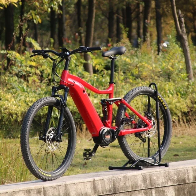 2020 bafang 48v 1000w Максимальная система привода двигателя Датчик крутящего момента Электрический горный велосипед