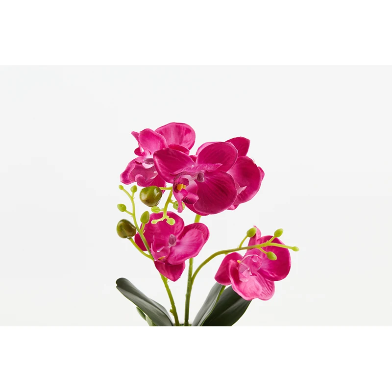  PRIMAISON Artificial Orchid with Ceramic White Vase Indoor Decor Table Decoration plastic Plant Pot