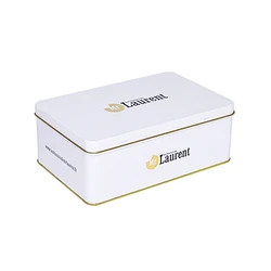 198x128x70Hmm Custom design hinged lid decorative metal tins box for gift