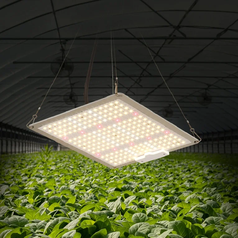 China Supply Farm Spectrum Slim LED Remote Control Grow Lights