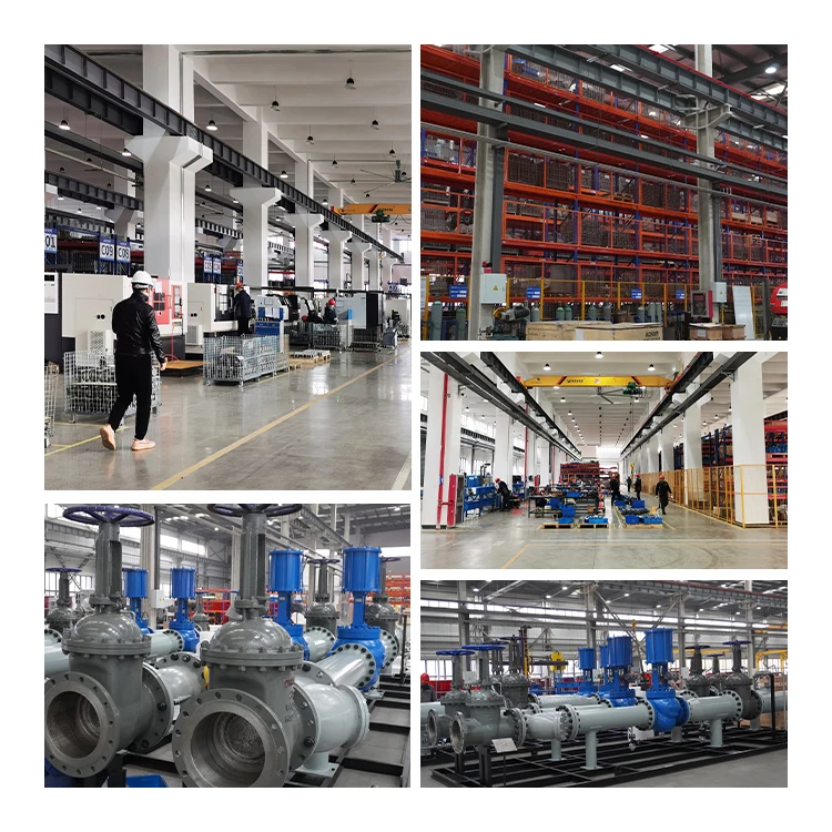 Factory Direct Supply AV28Q Stainless Steel Flange Threaded Exhaust Valve for Lithium Batteries Manual Power General Application