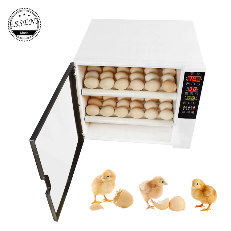  Маленький инкубатор для птицы Hen Mini 60 цена на продажу в