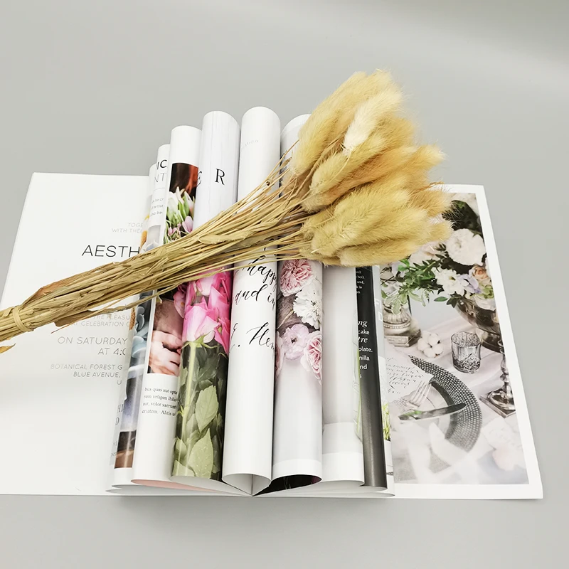 
home decor dried flowers wholesale high quality lagurus ovatus dried natural bunny tails grass 50stems 