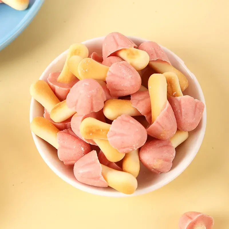Wholesale Best price Chocolate-coated cookies in mushroom shaped 48g for kids