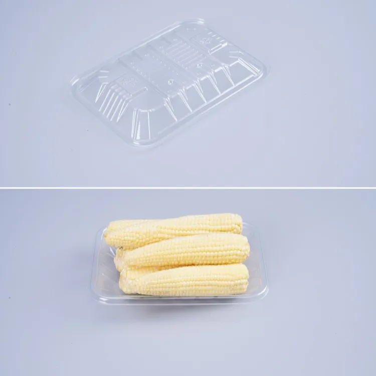 Blister Plastic Disposable Fresh Meat Bean Pepper Fruit Frozen PET PP Needle Mushroom Food Packing Tray