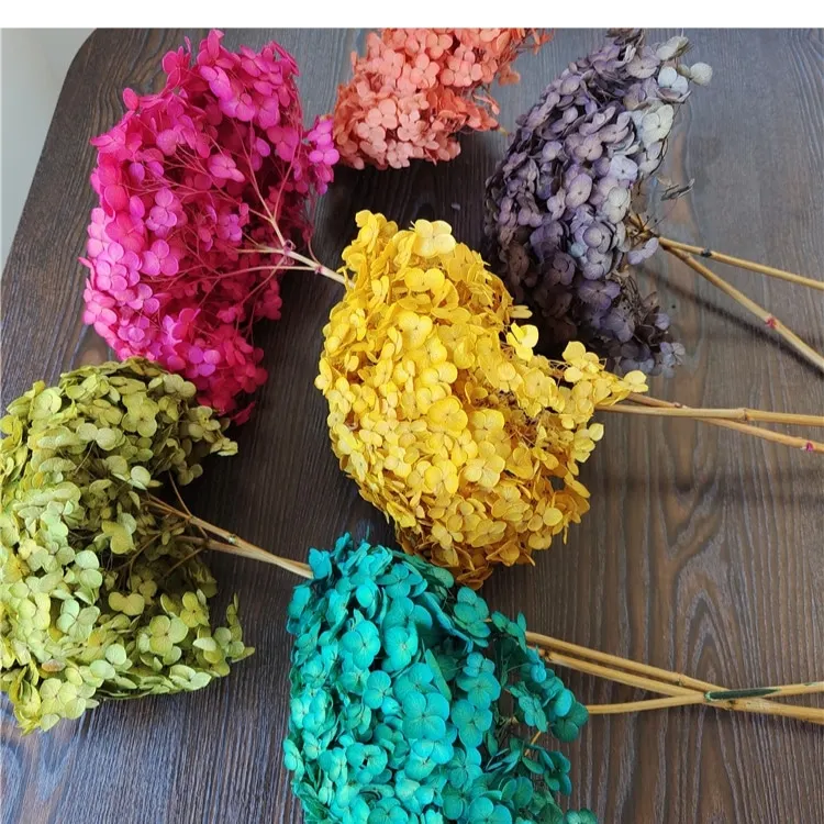 Dried Hydrangeas for home decorations for Christmas dried flowers