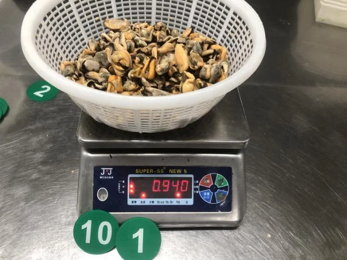 Hot Sale  mytilus edulis meat mussel meat  without shell