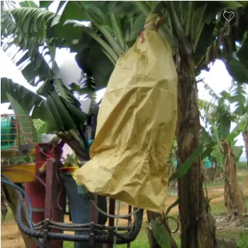 Custom logo date palm banana fruit grow protection cover wrapping paper bag