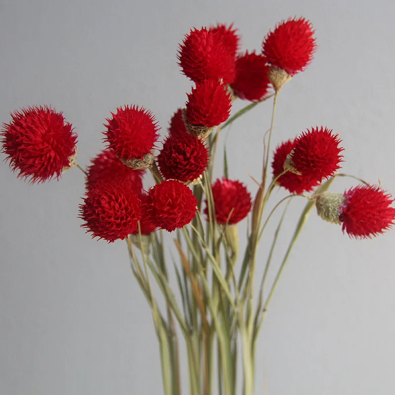 Wholesale Natural Dry Globe Amaranth Dried Flowers Gomphrena Globosa For Decor DIY Flowers Arrangements Candle Resin Making