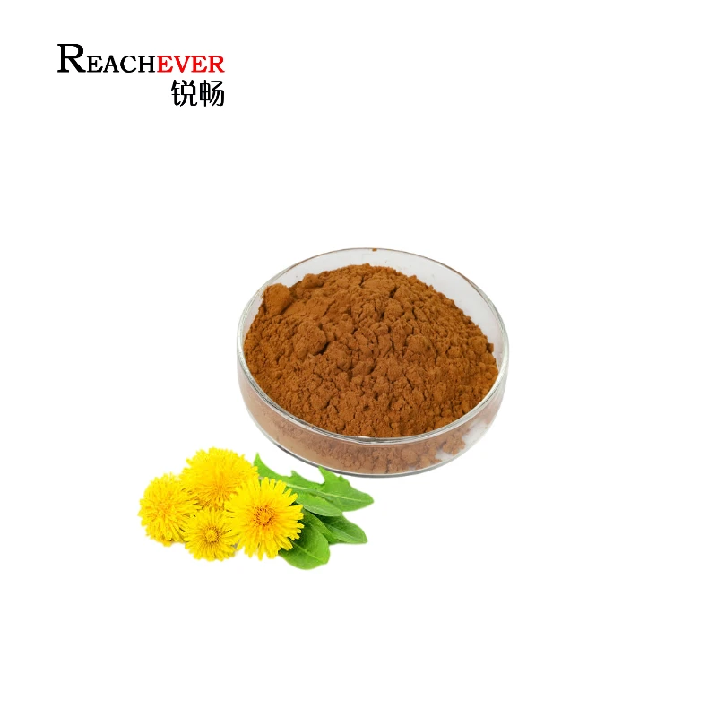 
Natural Flavone Dandelion Root Extract China Wholesale Pure Dandelion Extract Powder for Health Food 
