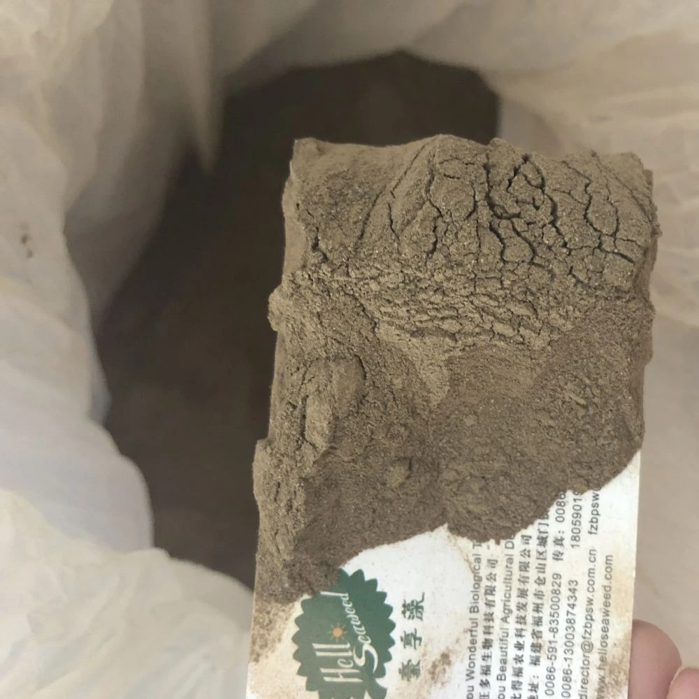 shrimp/fish feed pellet binder/adhesive