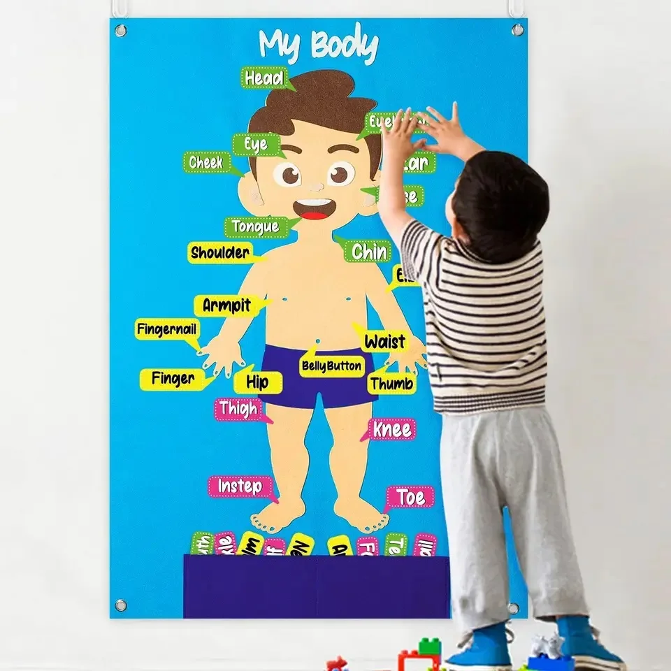 New Design Montessori Early Educational Toy Sensory Felt Story Board Learning Body Parts Recognition Board For Children