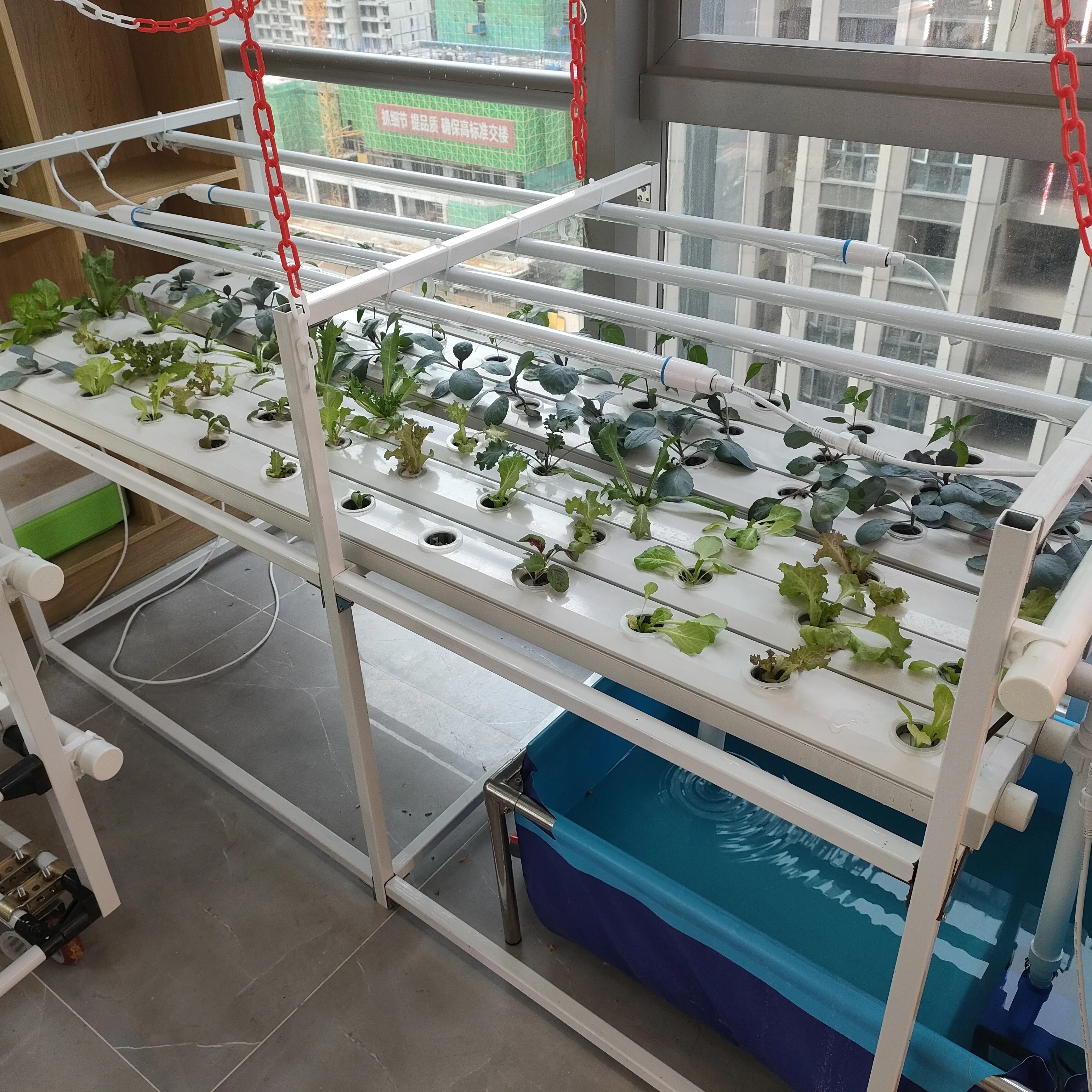 Complete Greenhouse Strawberry Hydroponics System with Drip Irrigation