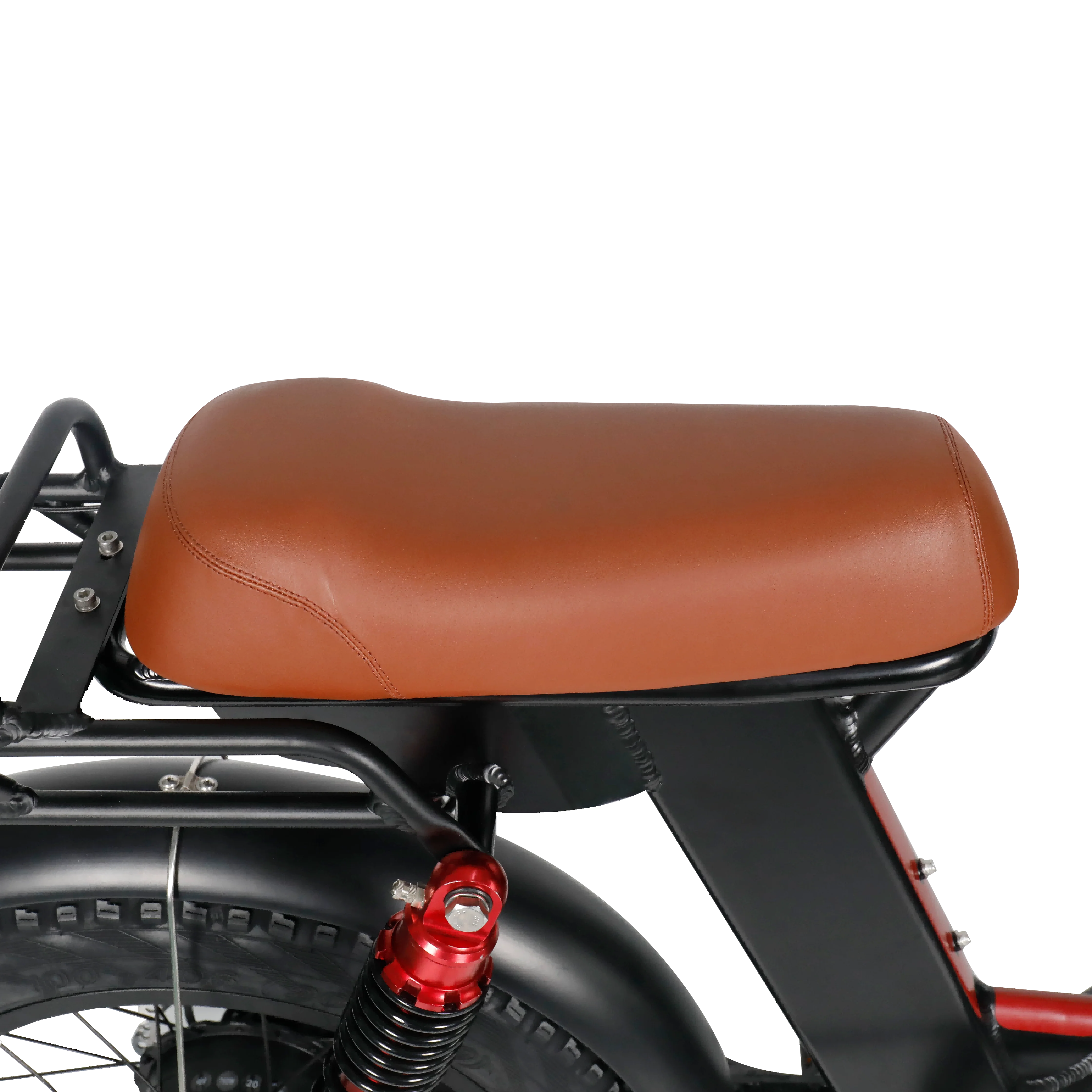 48v 750w 20 inch fat wheel electric bicycle cargo ebike with LCD display