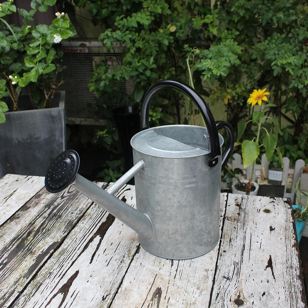 Cesun 1 Galon оцинкованная цинковая металлическая Лейка для улицы винтажная Старинная Мода