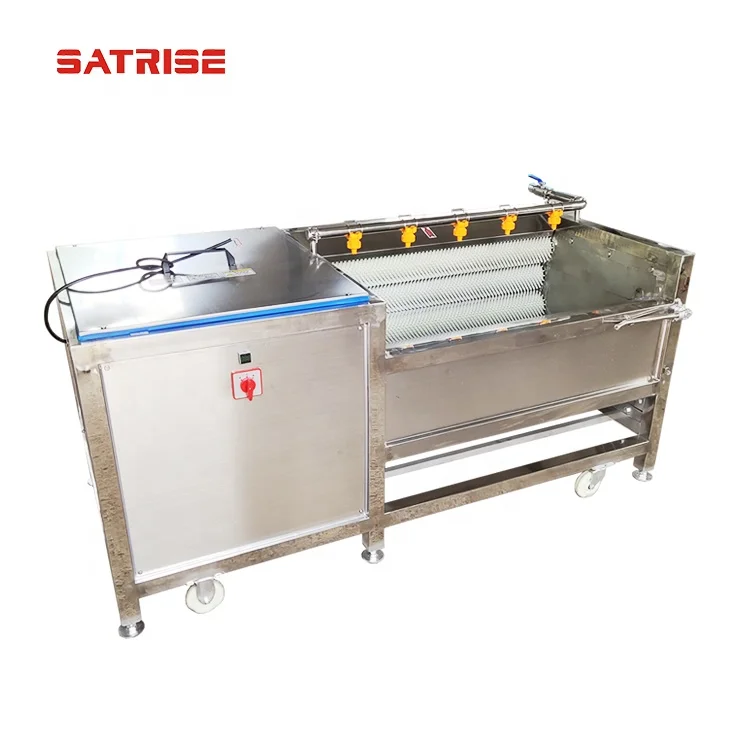  Brush Type Fruit Cleaning Machine Tomato Washing machine Price For