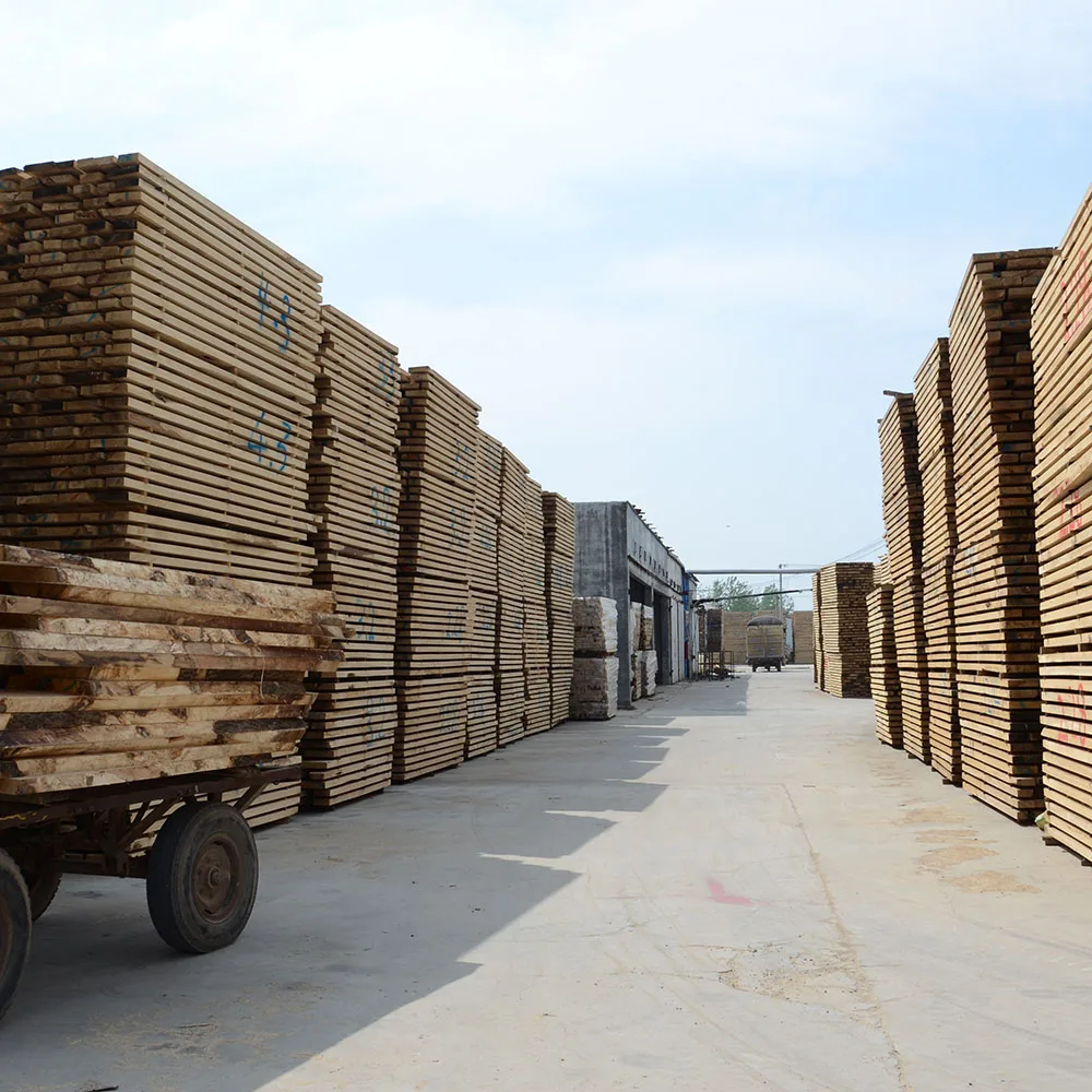Reasonable paulownia wood price/buy wood with high quality
