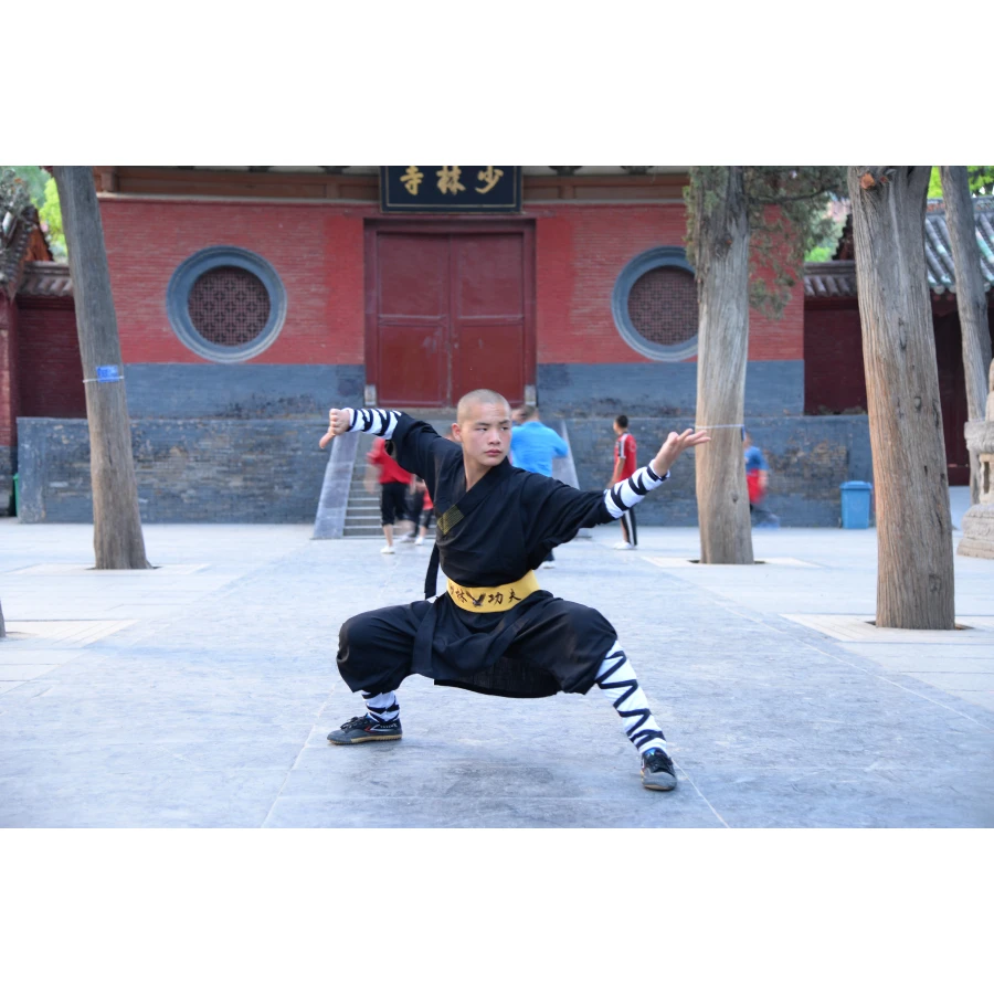 Боевые искусства тай-чи Униформа тайчи одежда ушу тренировочные брюки китайские традиционные ледяные штаны кунг-фу