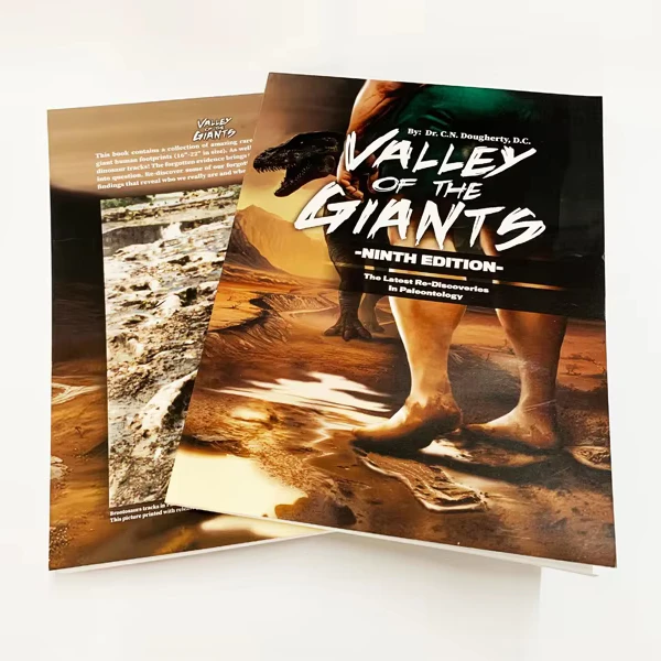 OEM Free Sample A4 Sorftcover Catalog Booklet Printing Brochure Custom In China Printing Flyer Cardboard Booklet For Cards Etc