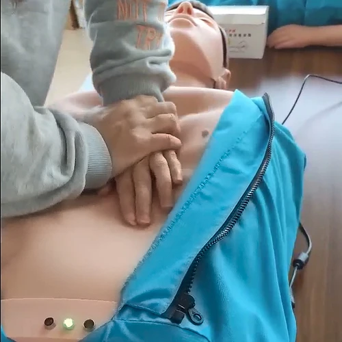 Adult CPR manikins training medeasy magnified realistic training manikin