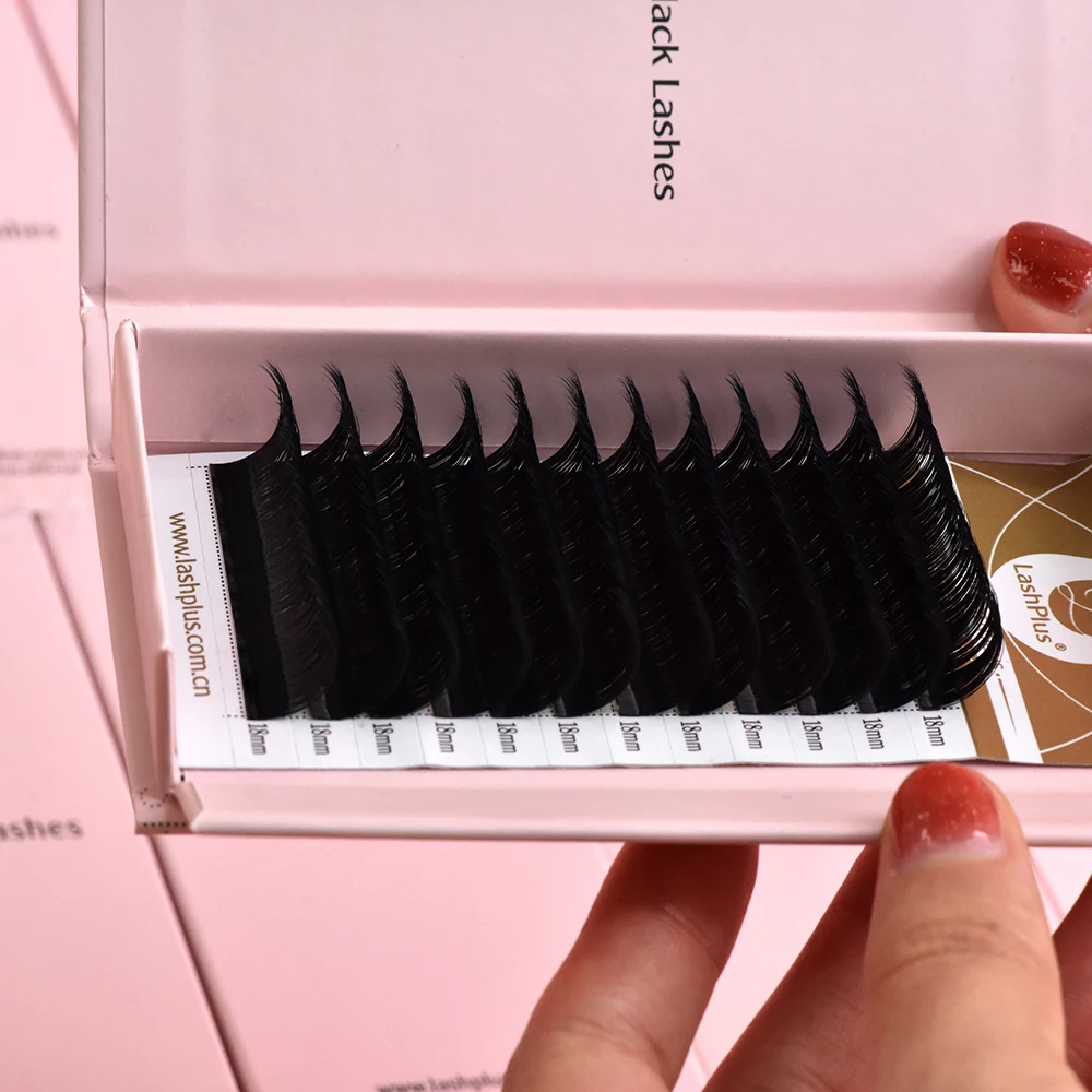 LashPlus  productos mas vendidos en usa cilios posticos natural camellia korea eyelash extension