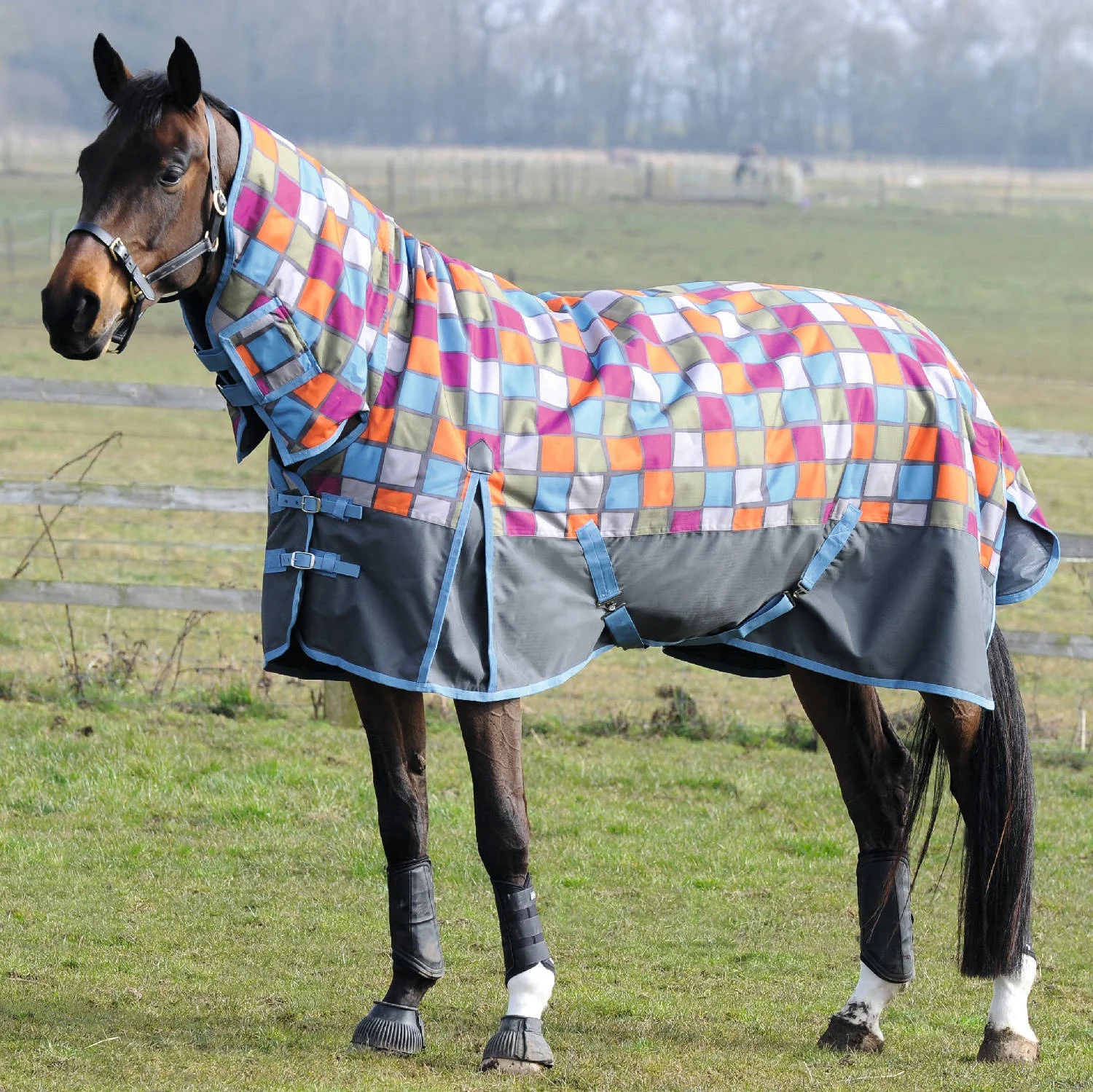 Waterproof & Breathable Customized Print 600 Denier Horse Turnout Blanket Rug Fly Sheet Horse Product