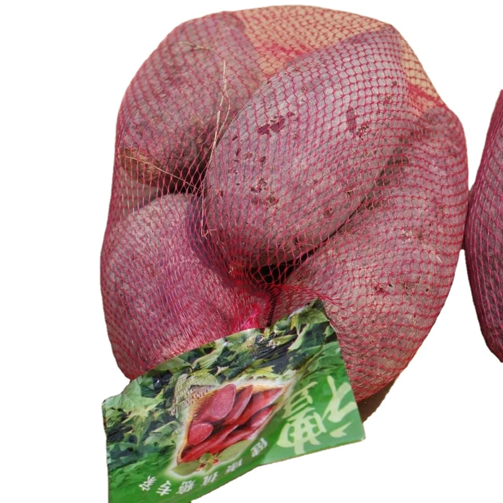 China factory custom MINI mesh bag for egg ginger garlic fruit vegetable dried fruit and toy