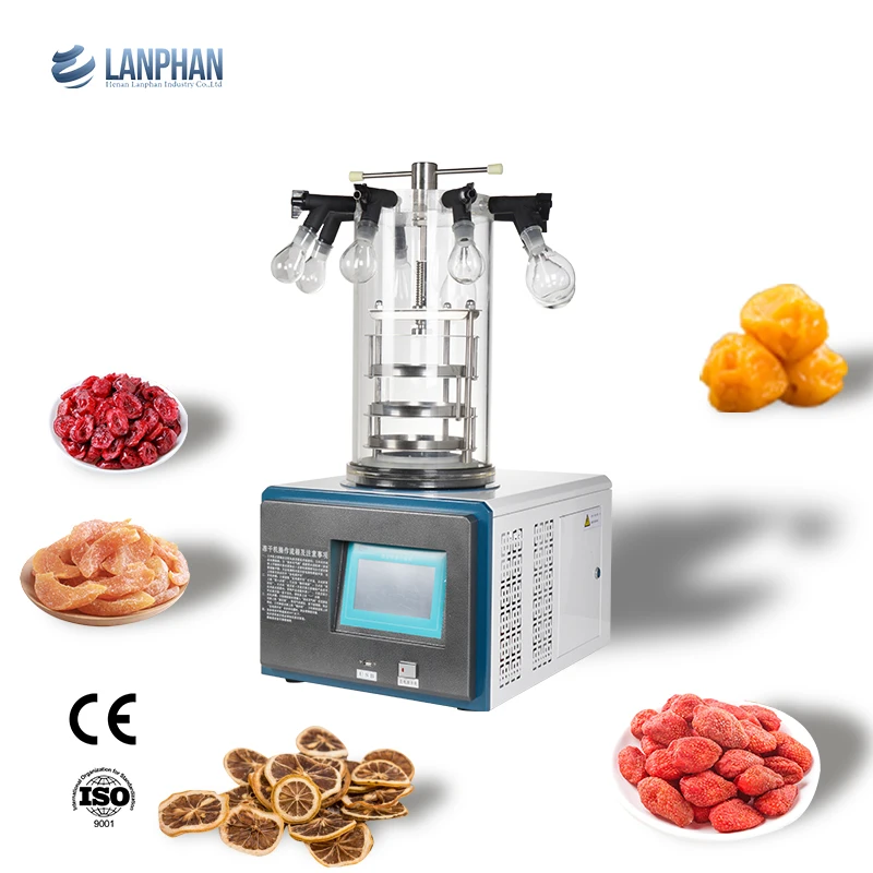 Laboratory tabletop vacuum small food freeze dryer lyophilizer  -55 degree