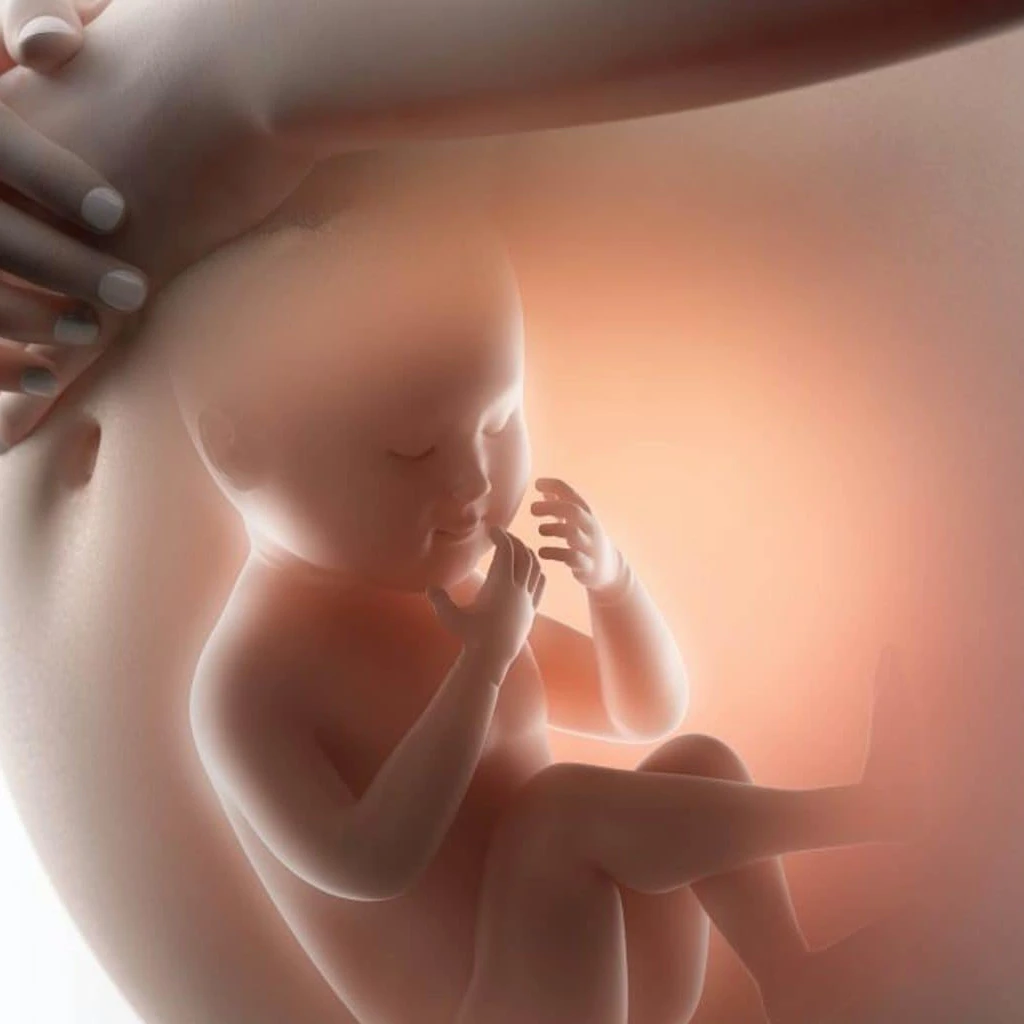 MILK POWDER FOR PREGNMENT