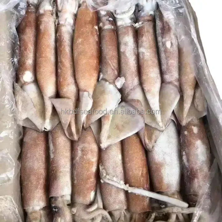 Цена с лучшим качеством оптовая продажа замороженные целые круглые кальмары Todarodes