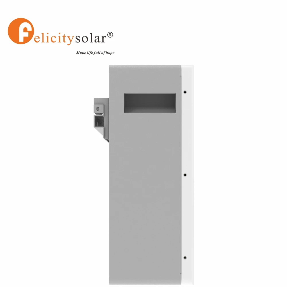 Felicity Solar 24V 100AH  lifepo4 battery lithium iron phosphate solar backup battery for solar energy system