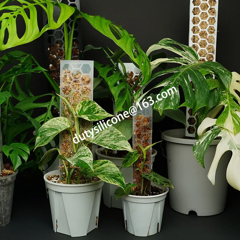 DIY Modular Plastic moss Pole stick for Monstera Plant Poles Climbing Plants Support Indoor Plants Sphagnum Moss Pole set