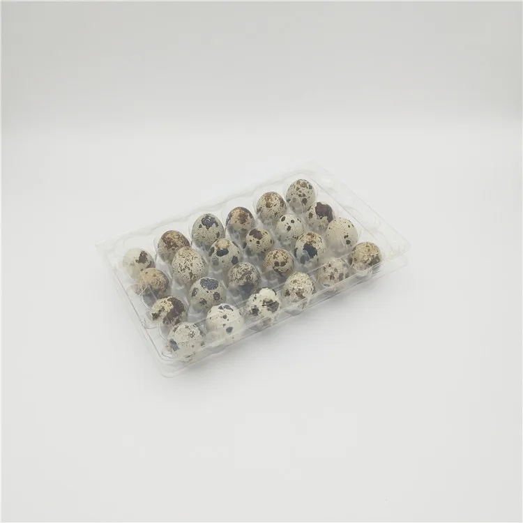 24-cell package plastic quail egg tray carton for supermarket with lid