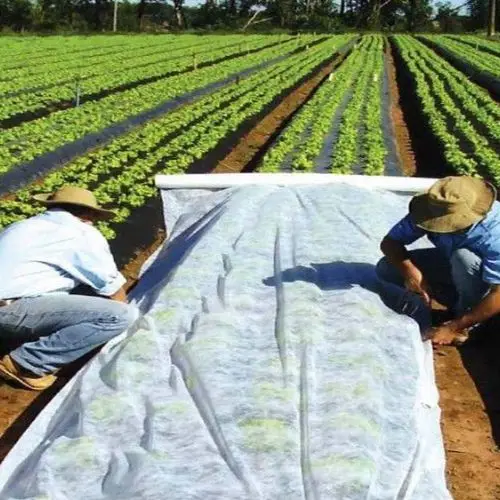 3% UV pp Spun Bond Nonwoven Agriculture/Spun bonded Agriculture PP Nonwoven Fabric/Waste Recycling PP Nonwoven Fabric