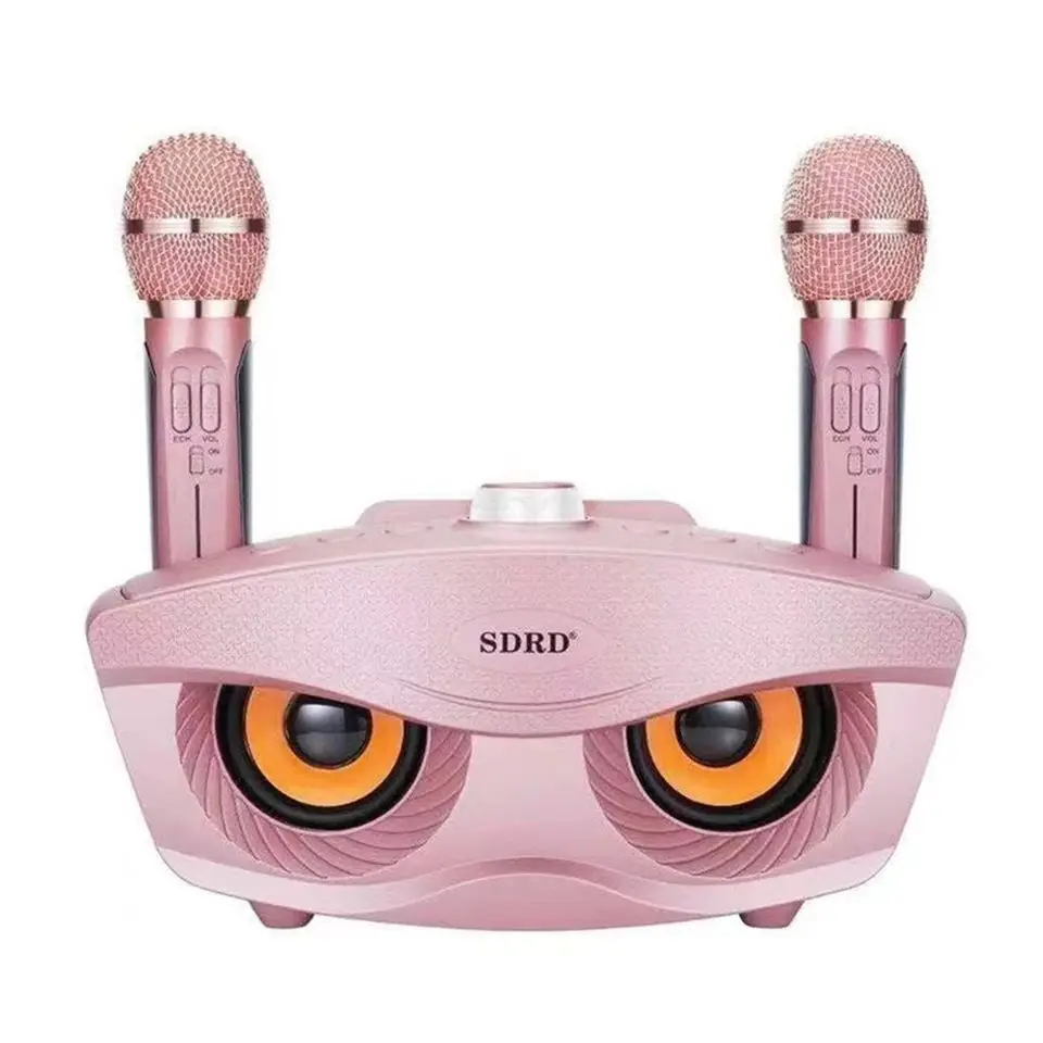 Wholesale SD306 20W Bass Sound Family KTV 2-in-1 Portable Karaoke BT Wireless Speaker With dual handheld microphone Owl Speaker