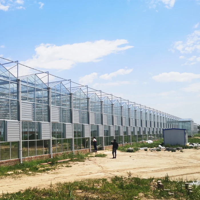 FUMA Low Cost Multi-span Agriculture Commercial Heating System Glass Greenhouse For Sale