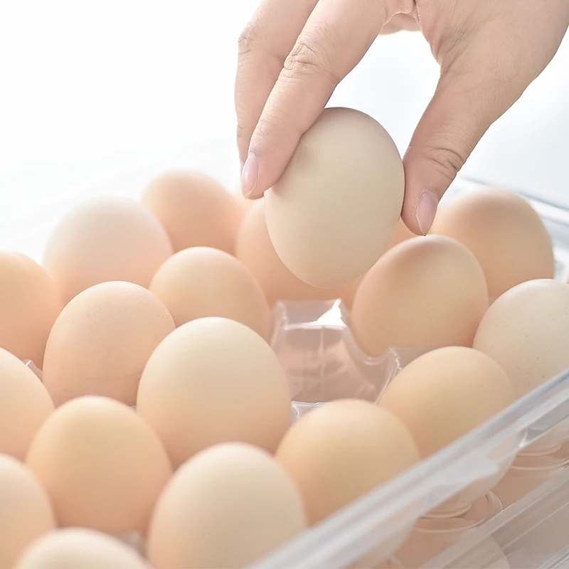 
New Design kitchen 24 Grid Plastic Transparent Vertical Egg Box Egg Storage Box 