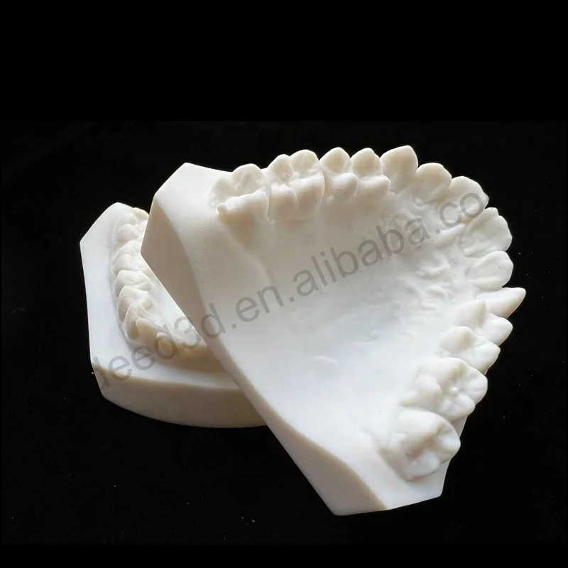 Custom Silicon Resin Mold Rapid Prototype Custom 3D Print Oral Teeth Dental Model 3d Printing Supplier